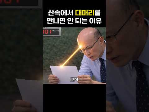 등산 시 대머리를 주의하세요 Shorts 썸네일